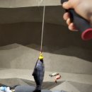 네이처스샵 | [동탄 놀거리] 디스커버리 네이처스케이프 금요일 방문후기