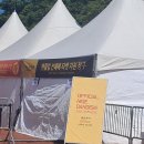 베스트올 신곡신일점 | 2026 히게단 내한공연 첫공 현장판매 후기 Kspo돔 1층 지정석 14구역 2열 시야