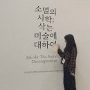 미술작품으로 이해하는 그리스로마신화 | 서울 전시회 추천! 국립현대미술관 서울 <소멸의 시학: 삭는 미술에 대하여> 프리뷰 후기