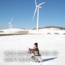 삼양신발 | 평창 대관령 가볼만한 곳 눈덮인 삼양라운드힐 방문후기/필수 준비물