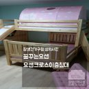 꿈꾸는 이층집 이미지