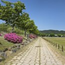 축구장 옆 화단 네이버블로그