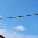 둥구리마을 이미지