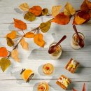 파크하얏트부산 이미지