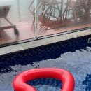 하루를봄 이미지