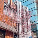 진핏 PT 스튜디오 이미지