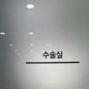 24시 쓰담쓰담 동물메디컬 센터 이미지