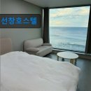 해돋이호스텔 | 강원도 묵호 동해 숙소 펜션 선창호스텔 뷰가 좋은 선창호스텔