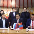 중부야채 이미지