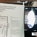 영등포 밤섬 프로젝트 | 일상, 여의도 미도인, 페어몬트 앰배서더 서울 마리포사M29(ft. SEMA 벙커)