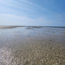 선재어촌체험휴양마을 이미지