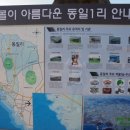 서산사 소장 목조보살좌상 및 복장일괄 이미지