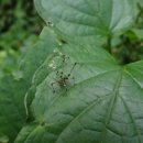 한신 유치원 이미지