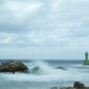 기장바다 이미지