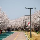 개화근린공원 네이버블로그