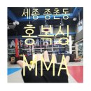 세종 홍복싱 MMA멀티짐 이미지