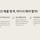 꿀부동산중개공인중개사사무소 이미지