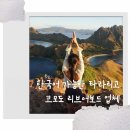 코모도 리브어보드 투어 한국어 가능한 타라리고 예약방법 & 대만족 후기