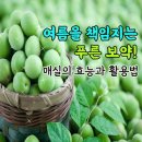 🍐 매실의 효능과 활용법 이미지