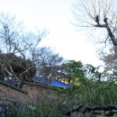 금광리장씨고택 이미지