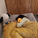 공기놀이 | [데일리남원] 조카와 고모가 함께한 하루 (어린이들과 함께한 남원 데이트 코스)