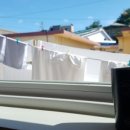 속초휘테 이미지