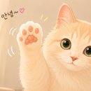 포미아구찜 오룡점 네이버블로그