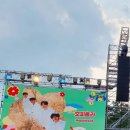 20210627 뷰티풀 민트 라이프 2021(이라쓰고 스텔라장 콘서트라 읽는다)