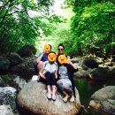 토옥동 송어 횟집 이미지
