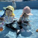 무궁화수영방🏊‍♀️🏊‍♂️거북만들기🐢🐢 이미지