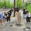쓸자