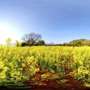 팔랑포마을 이미지