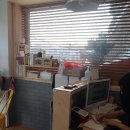 달맞이 호두네 동물병원 이미지