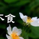 석과불식(碩果不食) 이미지