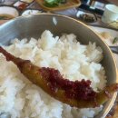 영산오리불고기식당 | [대구 팔공산 맛집] 성공식당 산더미🌋오리불고기 솔직후기