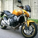 명차 Honda CB600 (호넷 600 골드) 08년식 상태 최상 입양보냅니다......ㅠㅠ 이미지