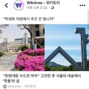 연고전이 부러웠던 서울대생 이미지