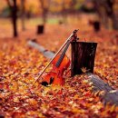 가을 노래모음 이미지