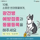 한남메이펫 | 동물병원, 광견병 예방접종 5천 원...생후 3개월 이상 개와 고양이 대상