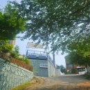 썰트(SULT) 이미지