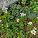 행정사 하문희사무소 이미지