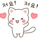 캣츠호텔 - 제천시 내토로 547 | 캣츠호텔