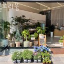 플로리움 이미지