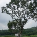 수당리마을회관 이미지