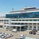 바람이 불어, 초록색 모자 이미지