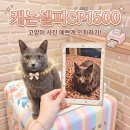 뿅뿅 뽑기방 포토하니 | 캐논 포토프린터 CP1500 단점 인화지 카세트 팁부터 셀피 앱 사용법까지 완벽 정리 내돈내산