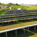 대양태양광발전소 이미지