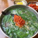 부산 남천동 칼국수 맛집 남천용이칼국수 내돈내산 솔직후기 및 주차정보 정리