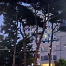 김대중농장 네이버블로그