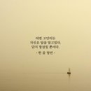 인셀덤 최고의선택
